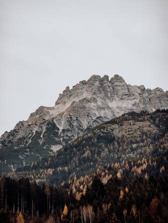 Hotelbesitzer Naturhotel Forsthofgut in Österreich 