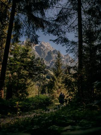 waldLIEBE sustainability project of the Naturhotel Forsthofgut