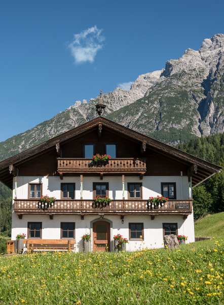 Bauernhof Mauthof vor den Bergen mit Wiese