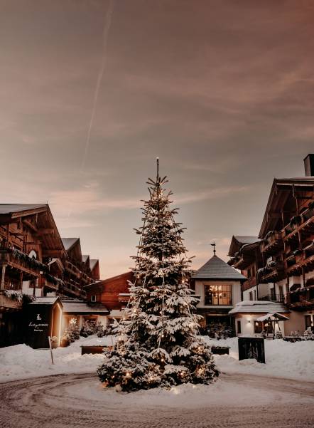 waldLIEBE Nachhaltigkeitsprojekt des Naturhotel Forsthofgut