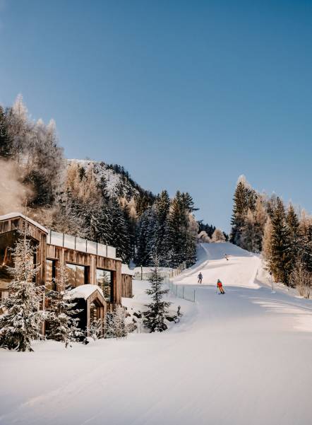 waldLIEBE Nachhaltigkeitsprojekt des Naturhotel Forsthofgut