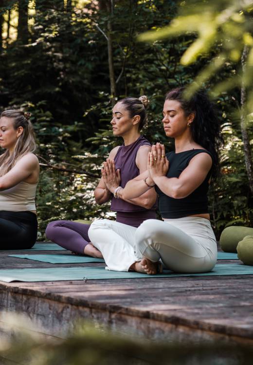 Time out in the nature: three women do yoga in the forest