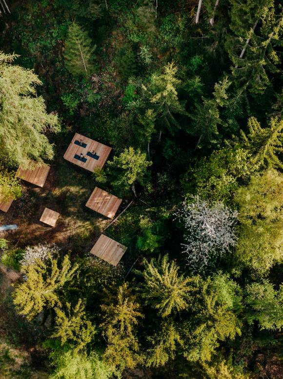 Yoga platforms directly in the forest