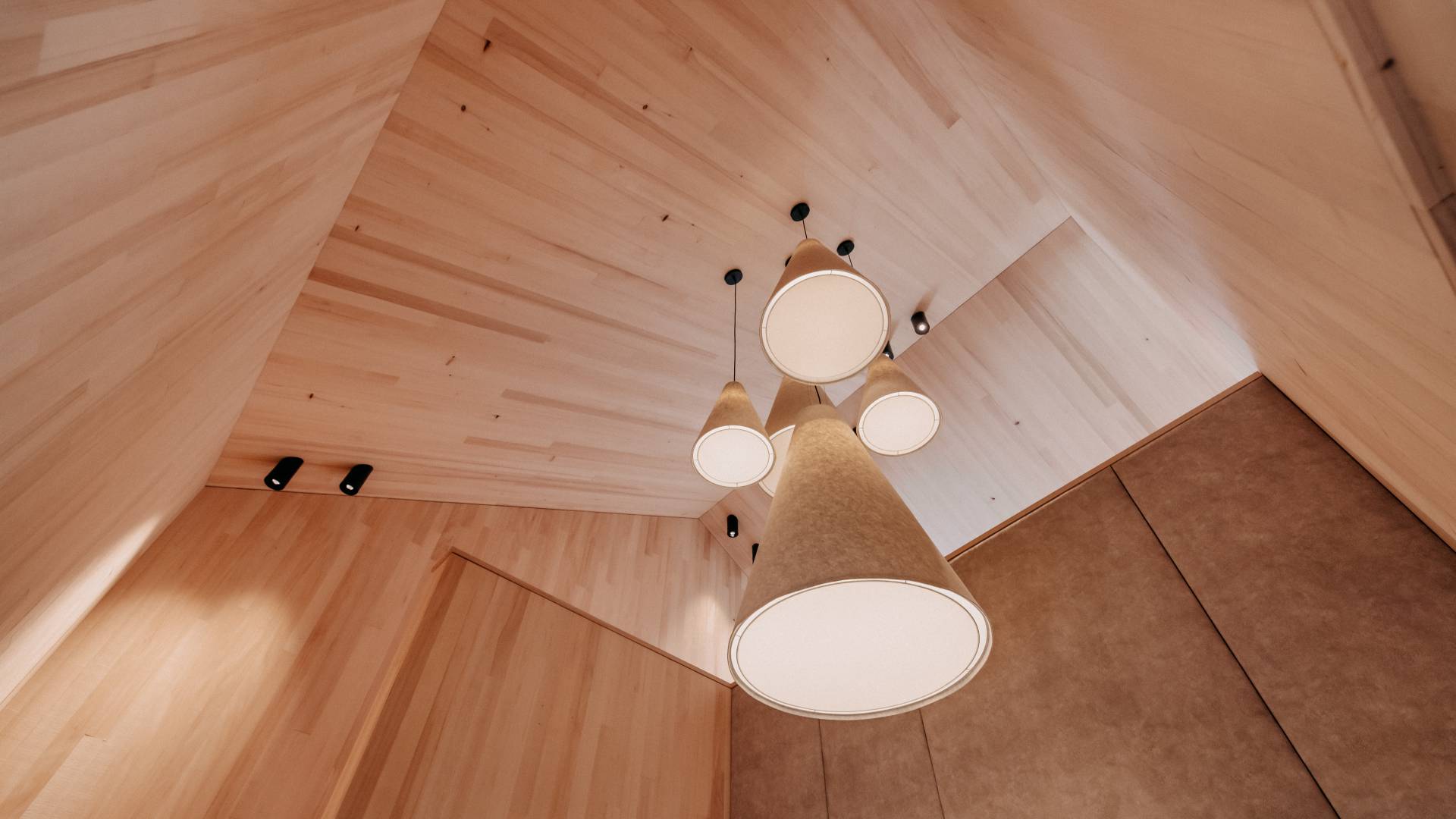 Interior design ceiling lamp in the garden loft
